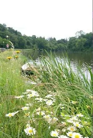 Logis Cosy - Le Moulin Neuf - 3*